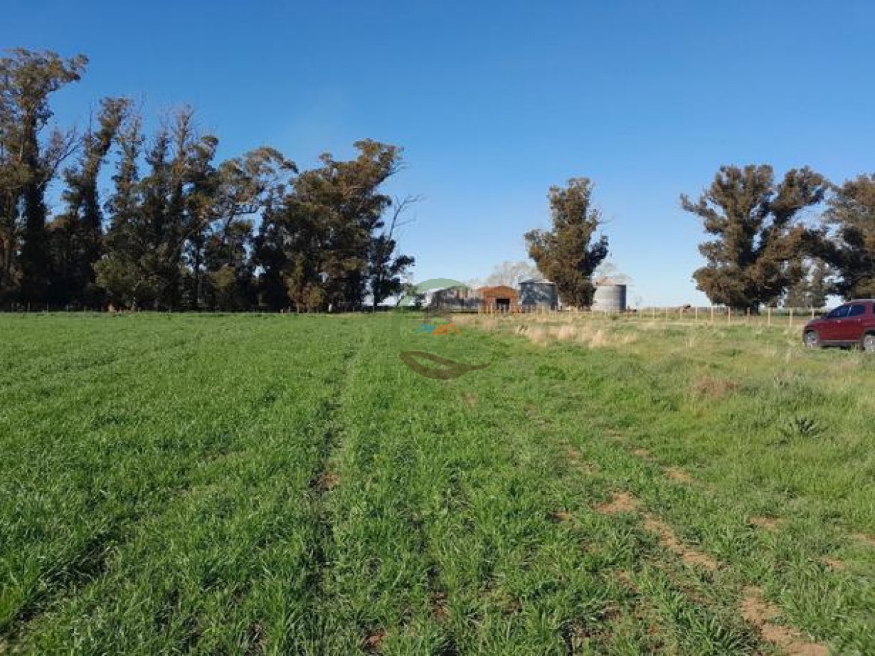 324 Ha Agricolas - San Cayetano