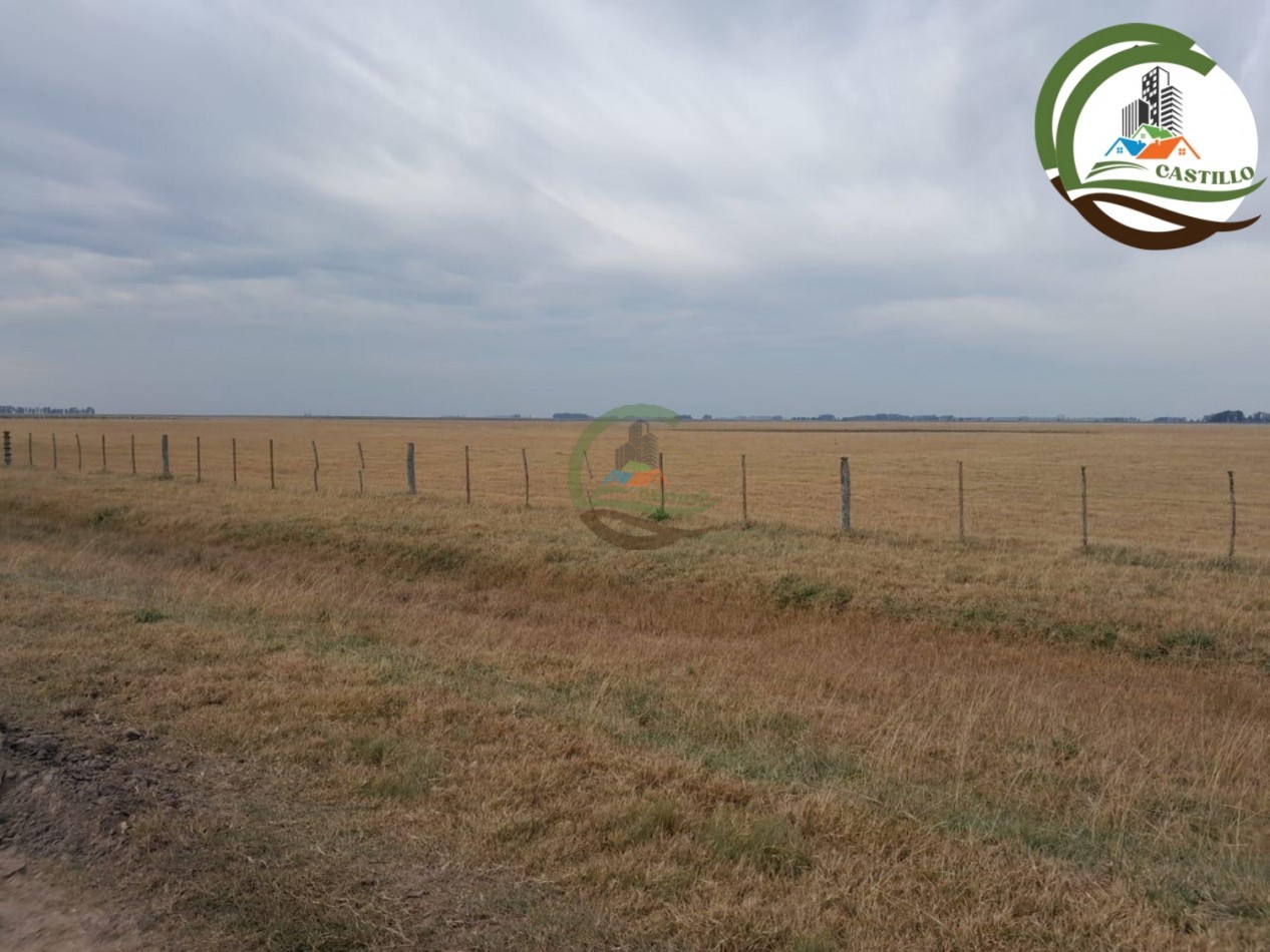 1025 ha mixta - saladillo