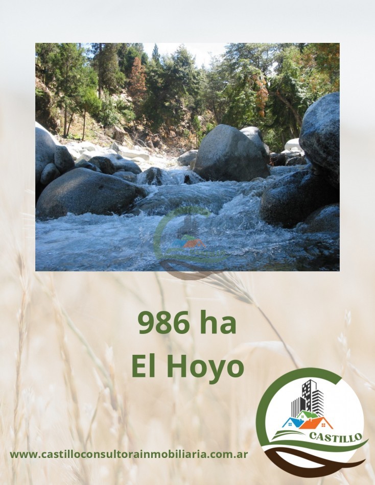 986 ha Mixta - el hoyo