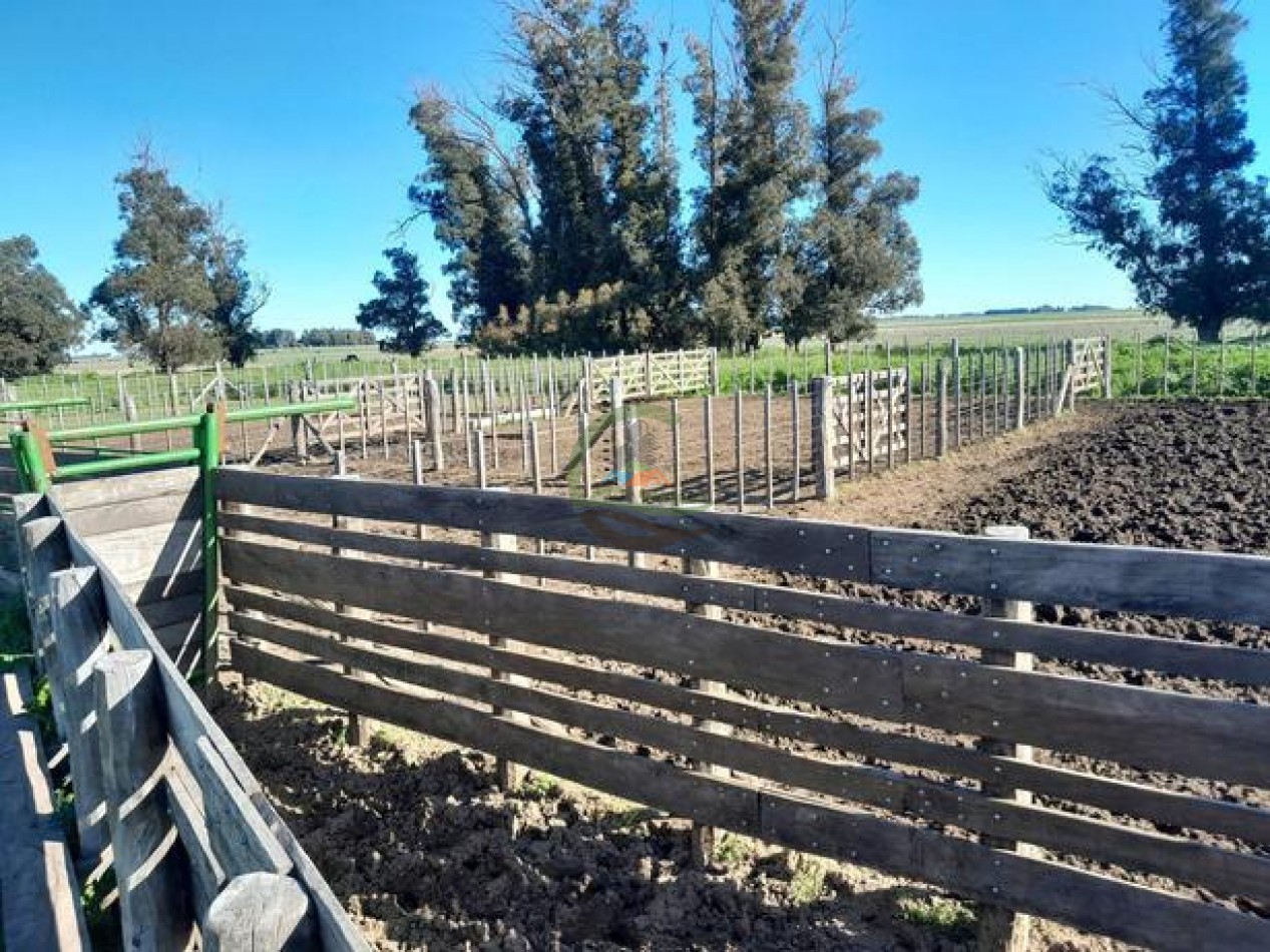 324 Ha Agricolas - San Cayetano