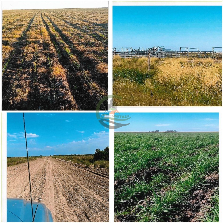 1400 Ha Mixtas - Rufino - Santa Fe