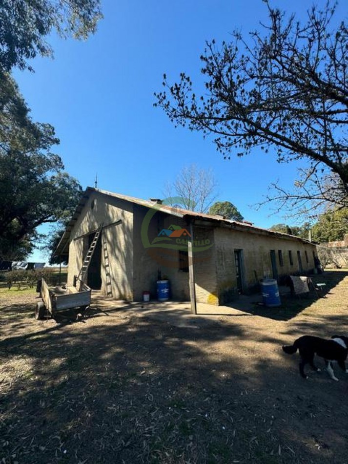 490 Ha Ganadero - Carmen de Areco