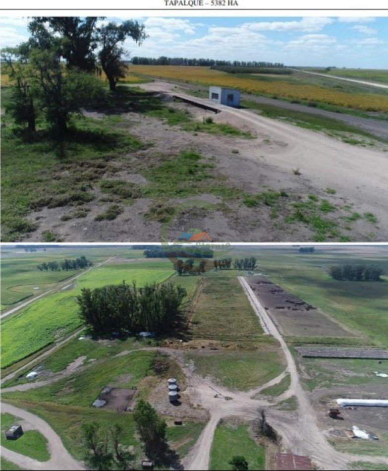 5382,89 Ha Mixtas - Tapalque