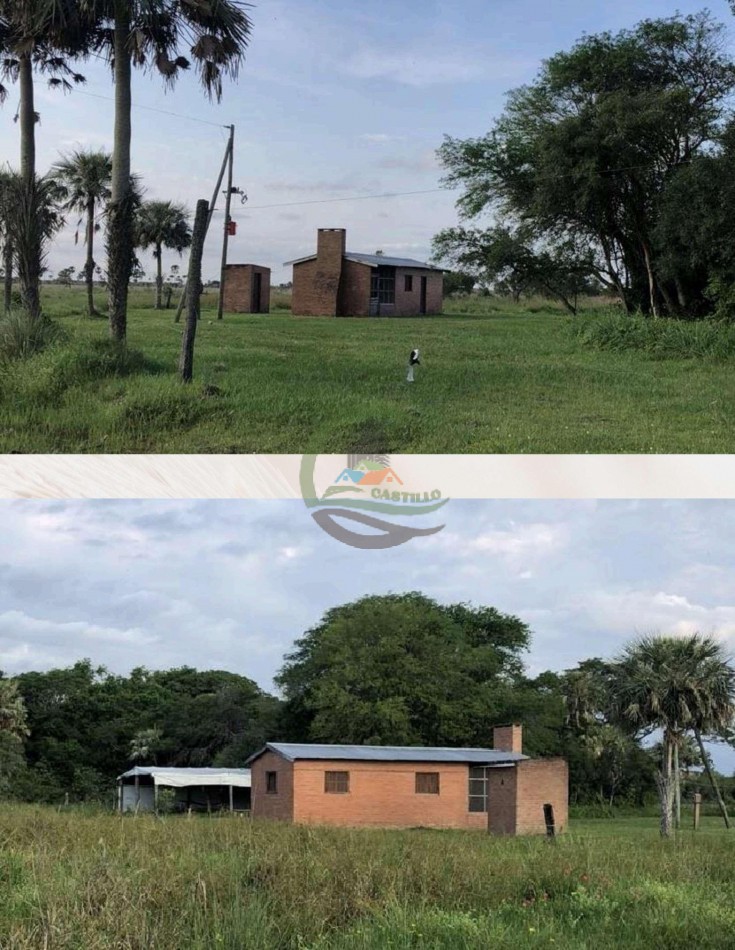 4168 Ha Mixto - San Luis del Palmar - Corrientes