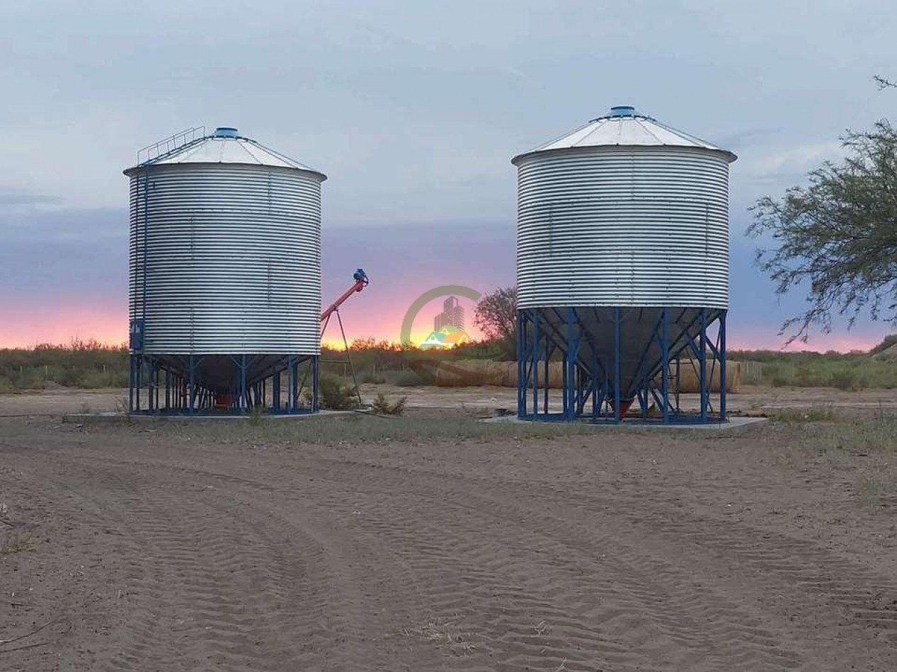 2417 Ha Ganadero (Feedlot) - Gral Alvear - Mendoza