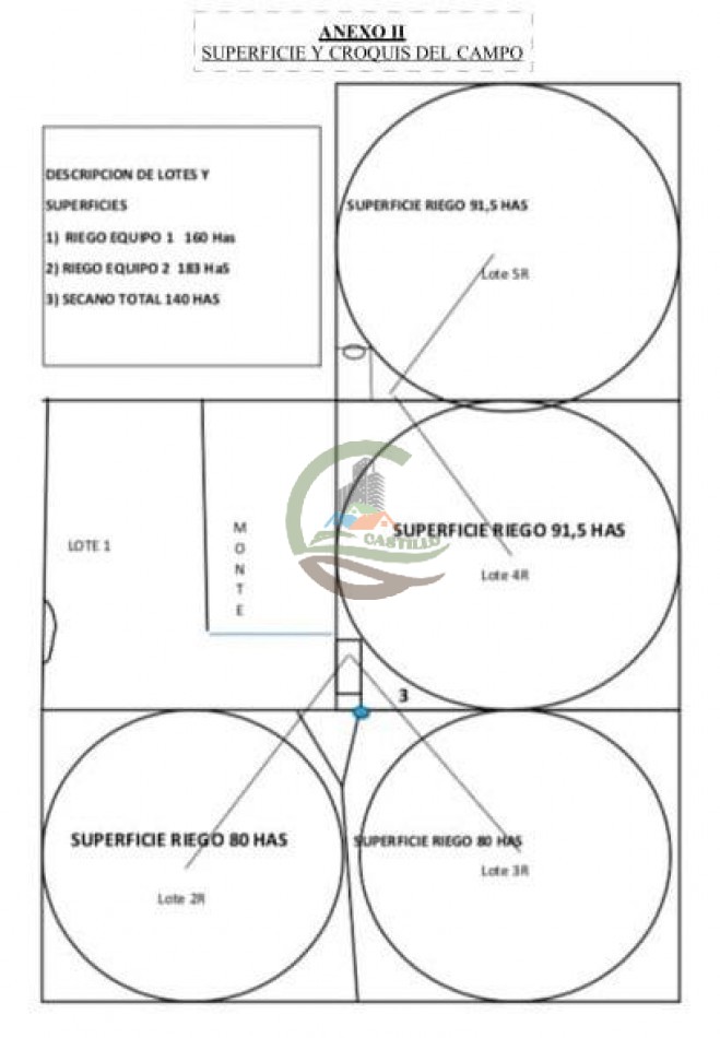 520 Ha Agricolas - Villa Mercedes - San Luis