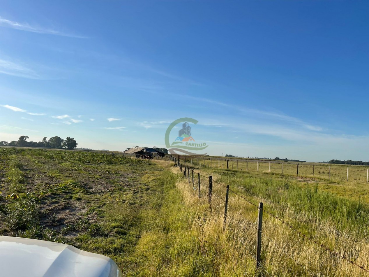 18 ha Mixtos - Pedernales