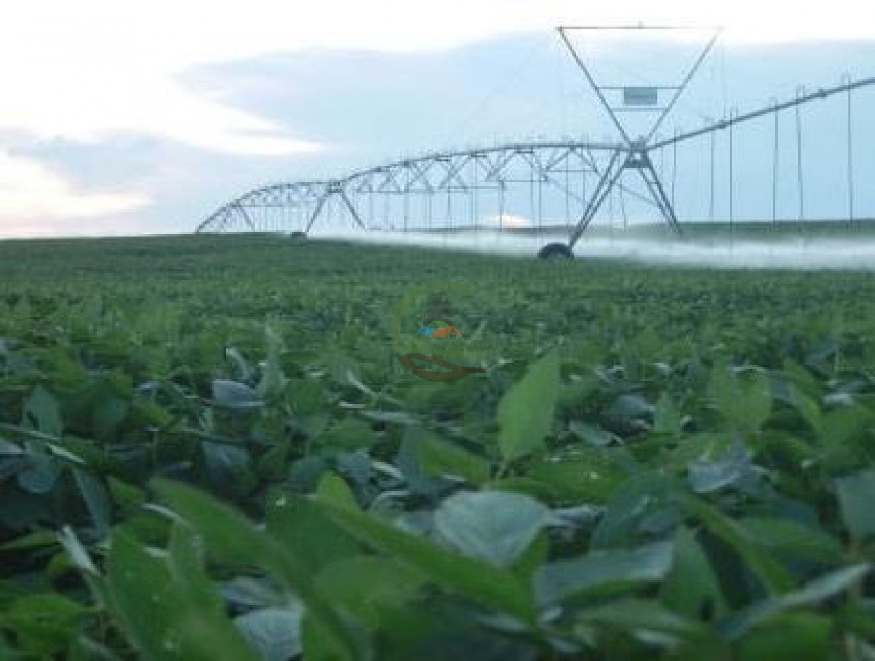 520 Ha Agricolas - Villa Mercedes - San Luis
