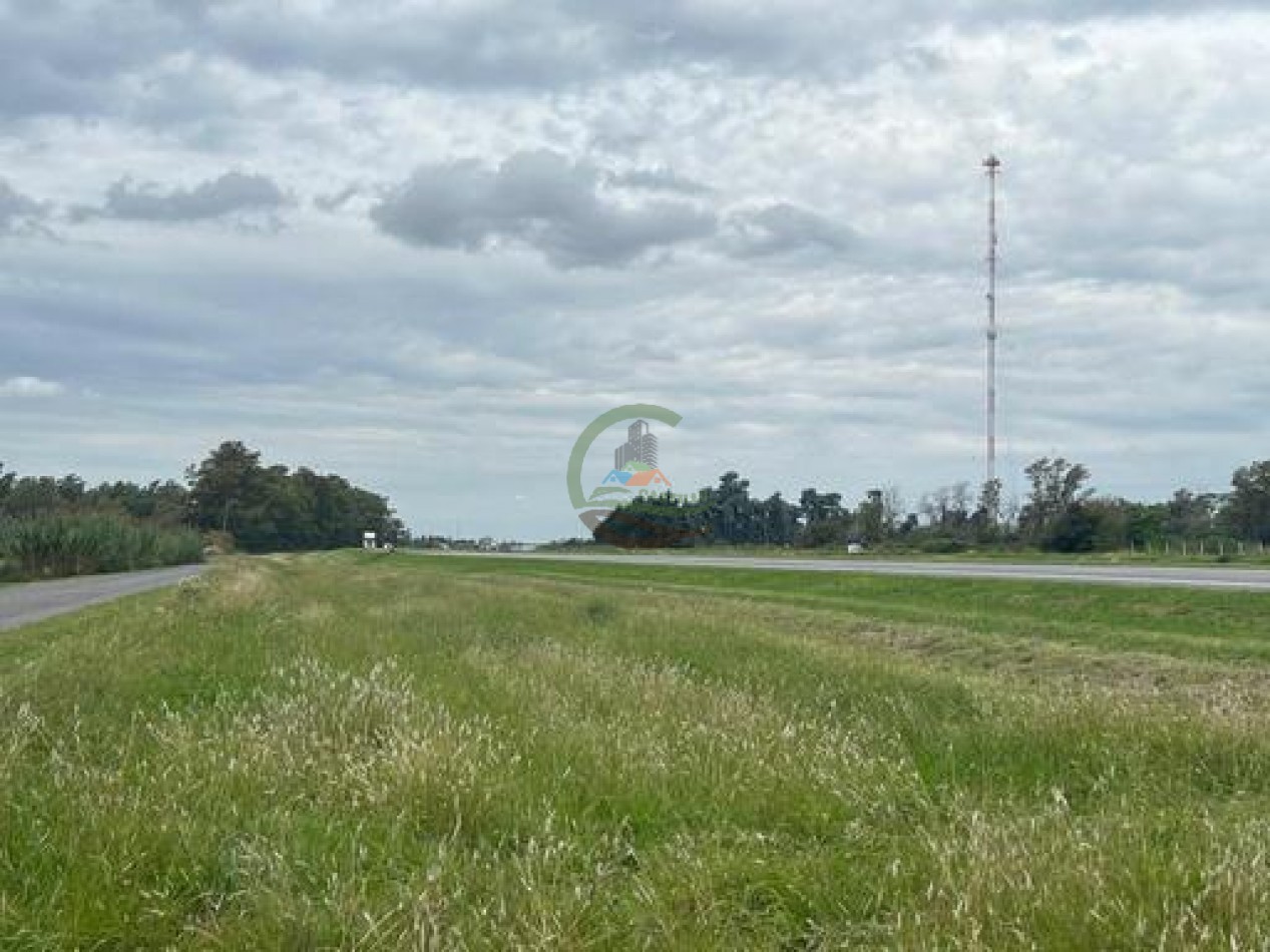 37,5 Ha Agricolas - Zarate