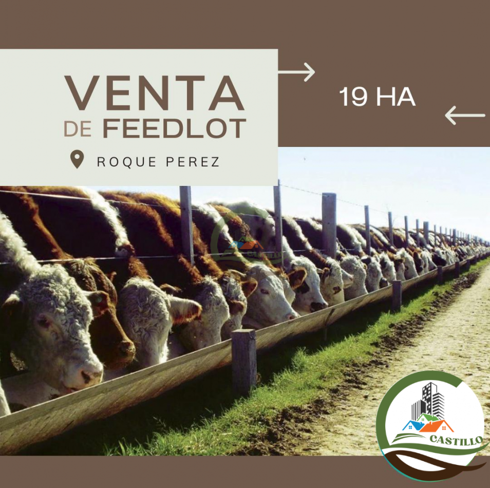 19 ha feedlot - roque perez