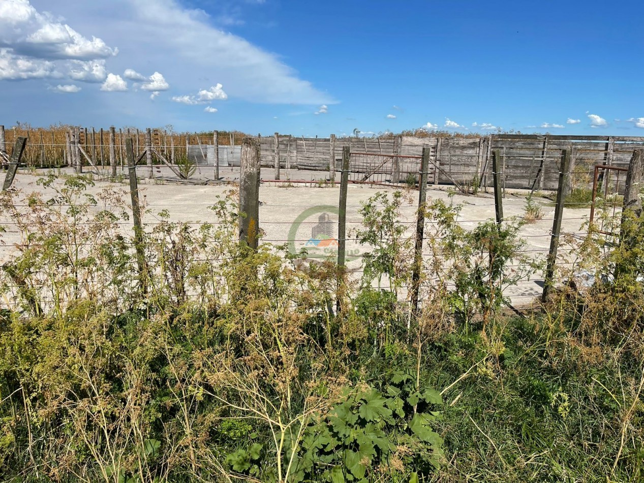109 ha Feed Lot - Las Flores