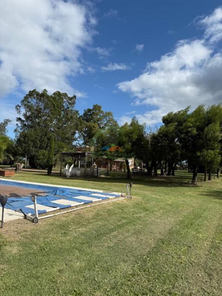 59,5 Ha Agricolas - Polvaredas - Saladillo