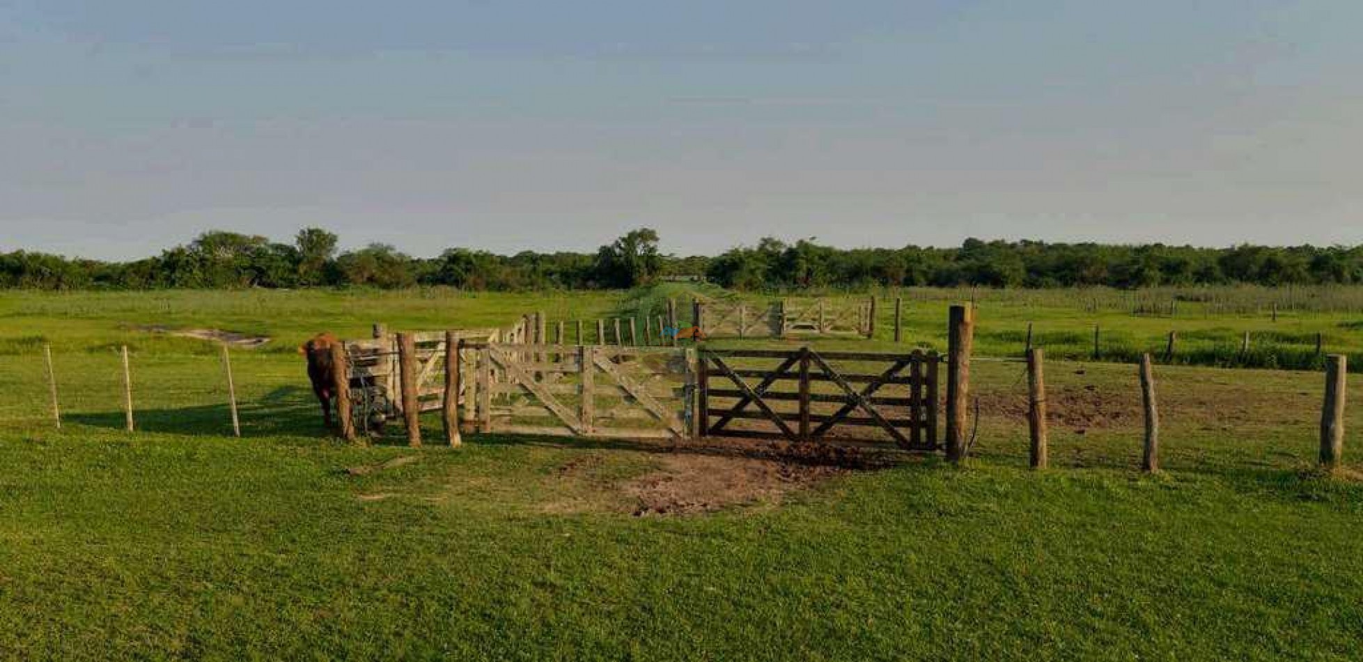 4168 Ha Mixto - San Luis del Palmar - Corrientes