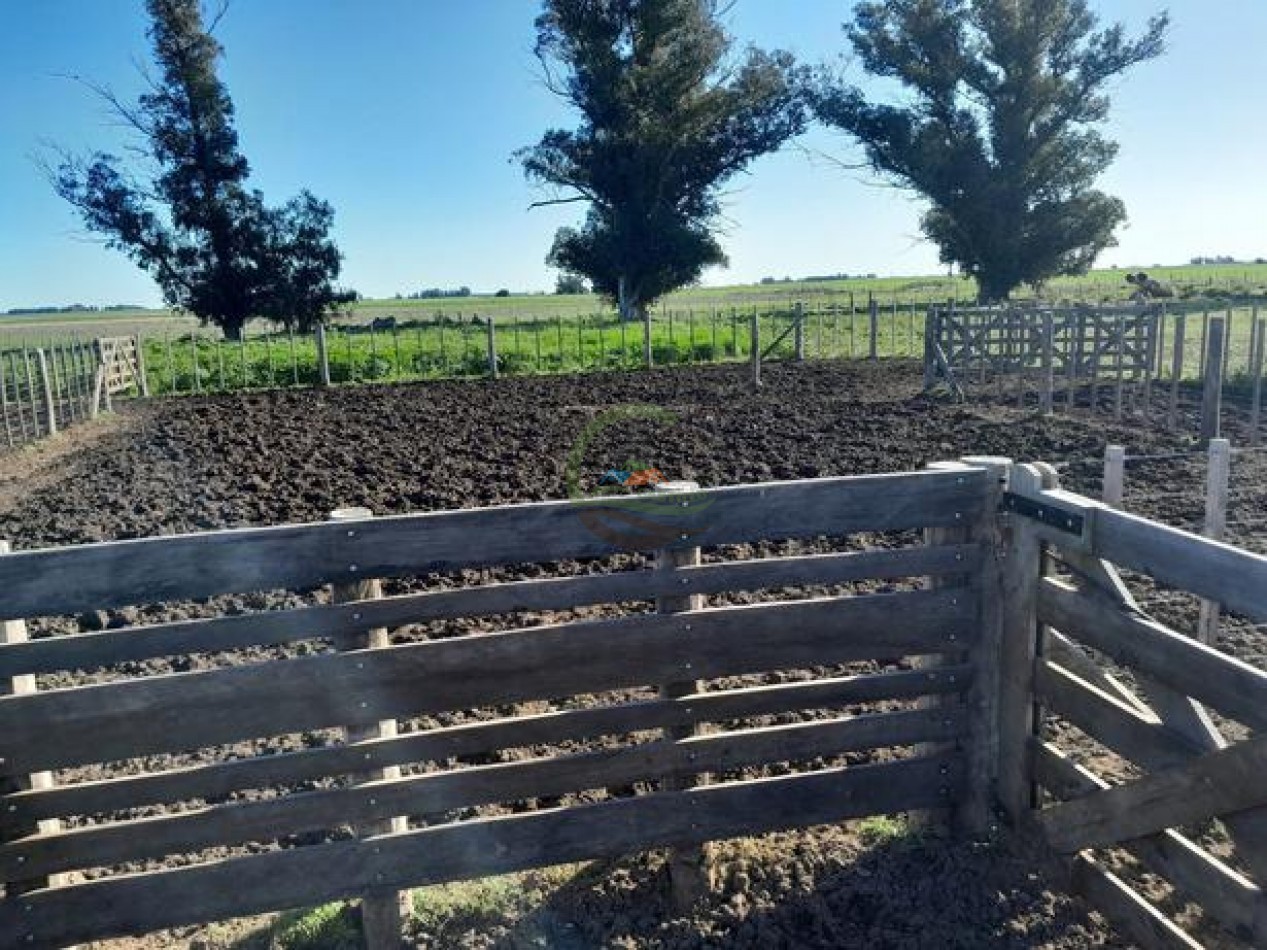 324 Ha Agricolas - San Cayetano