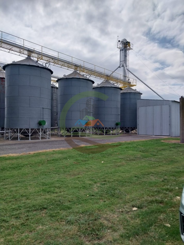 515 ha MIxtas - Pergamino