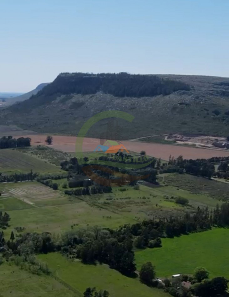 220 ha Agricolas - Balcarce  