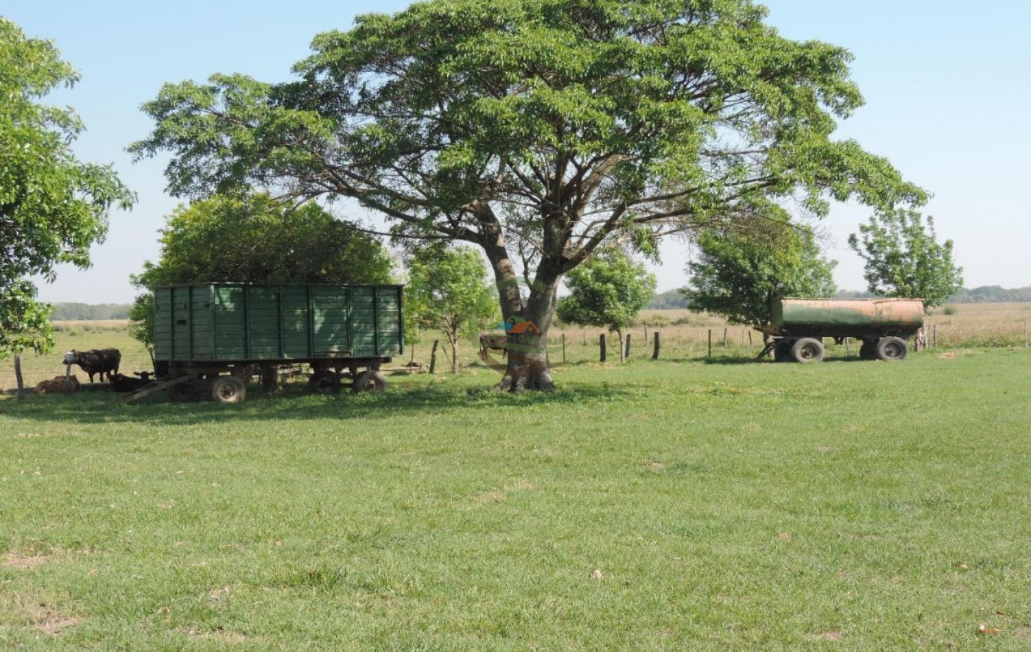 2005 Ha Ganadero - Laishi - Formosa