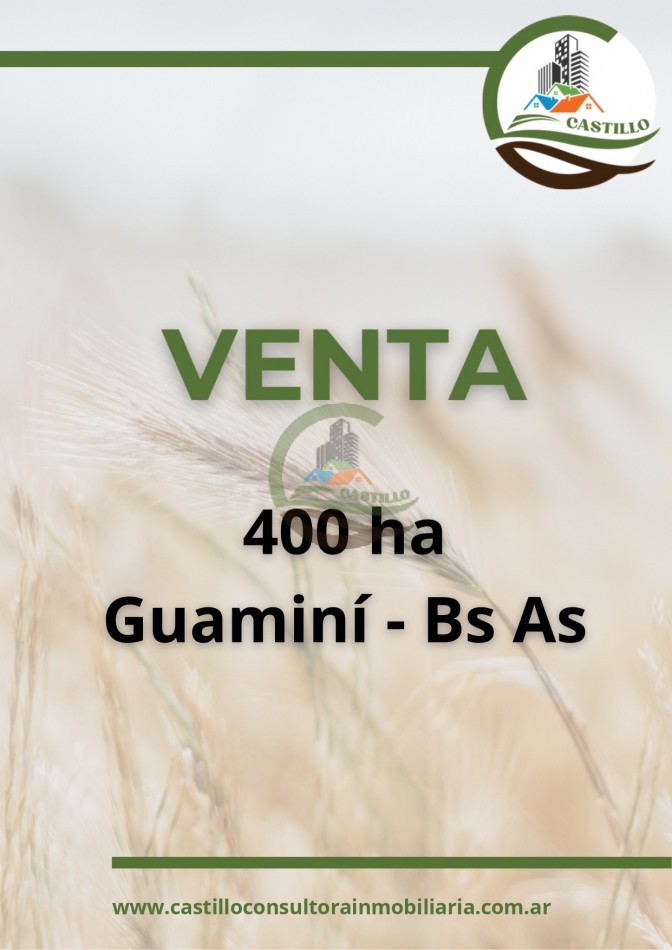 400 ha mixtas - guamini