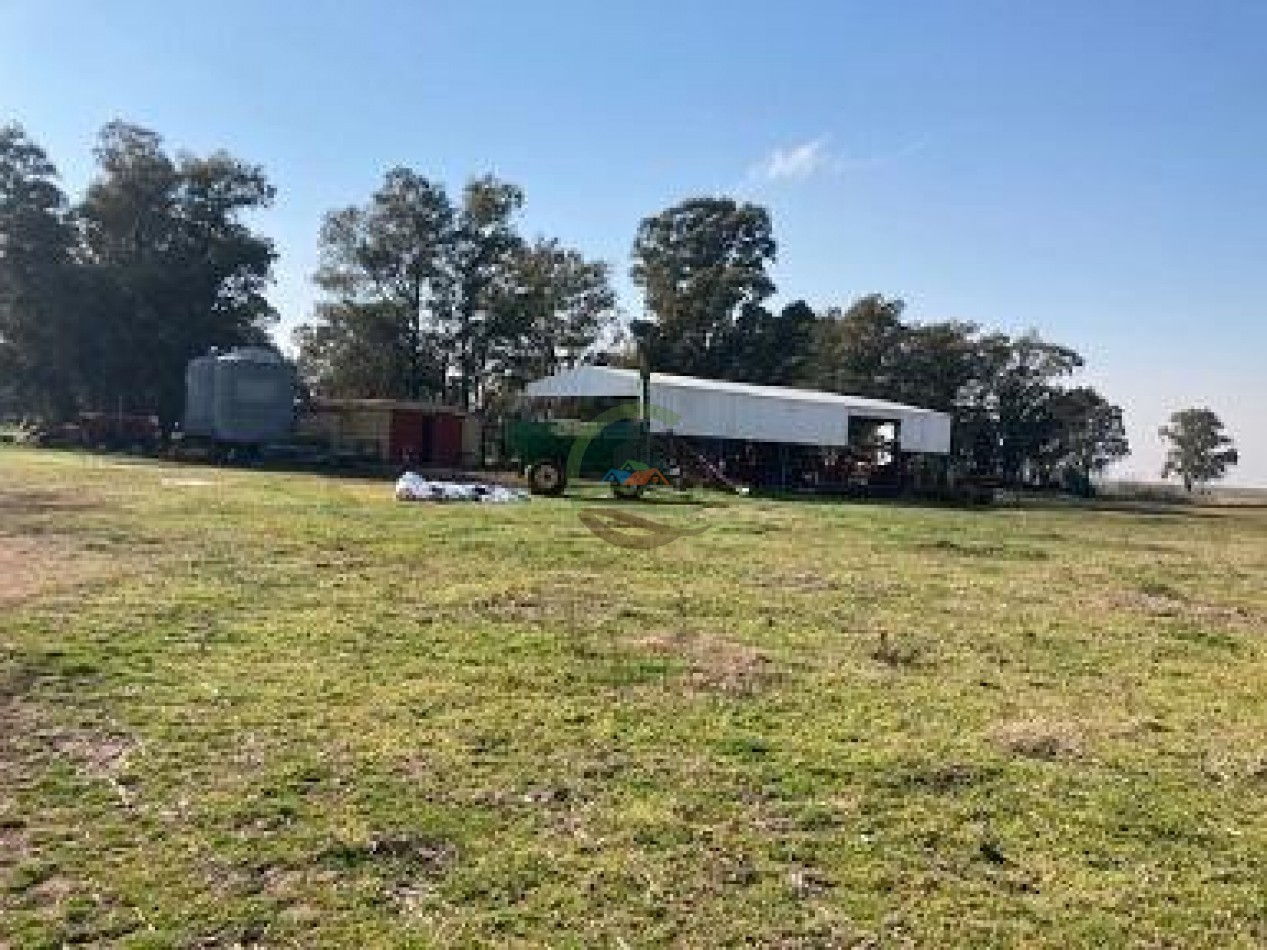 552 ha agricolas - gral alvear