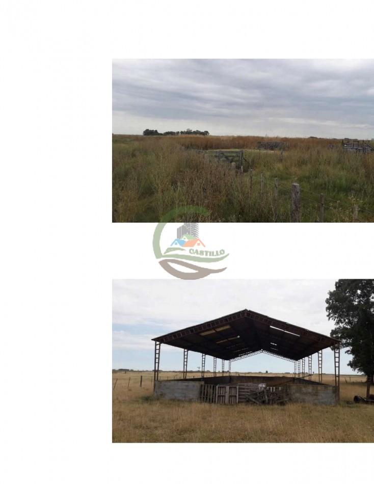 304 ha Mixtas - Olavarria 