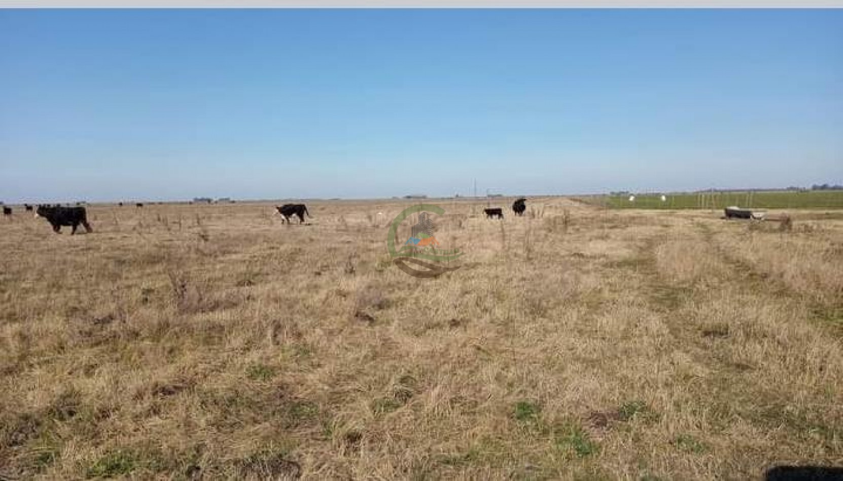 200 ha MIxtas . Tapalque 