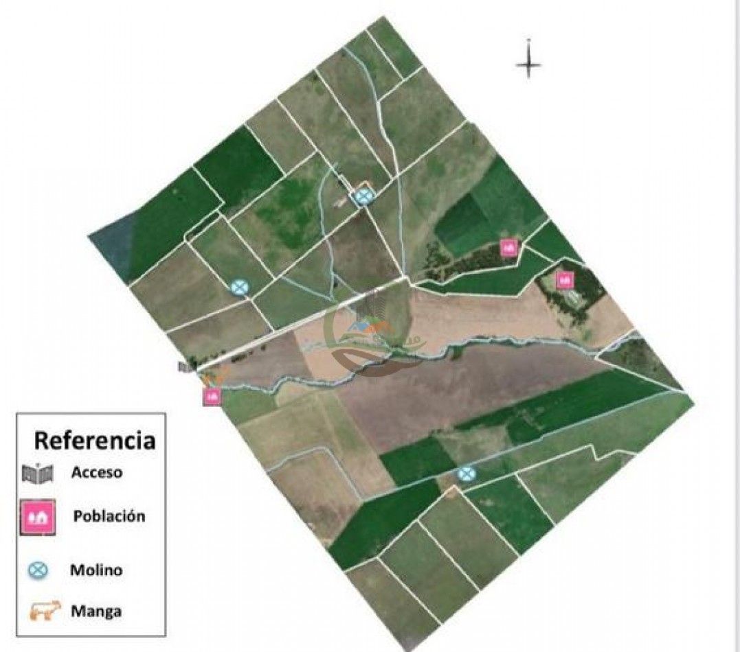 670 Ha Mixto - Balcarce