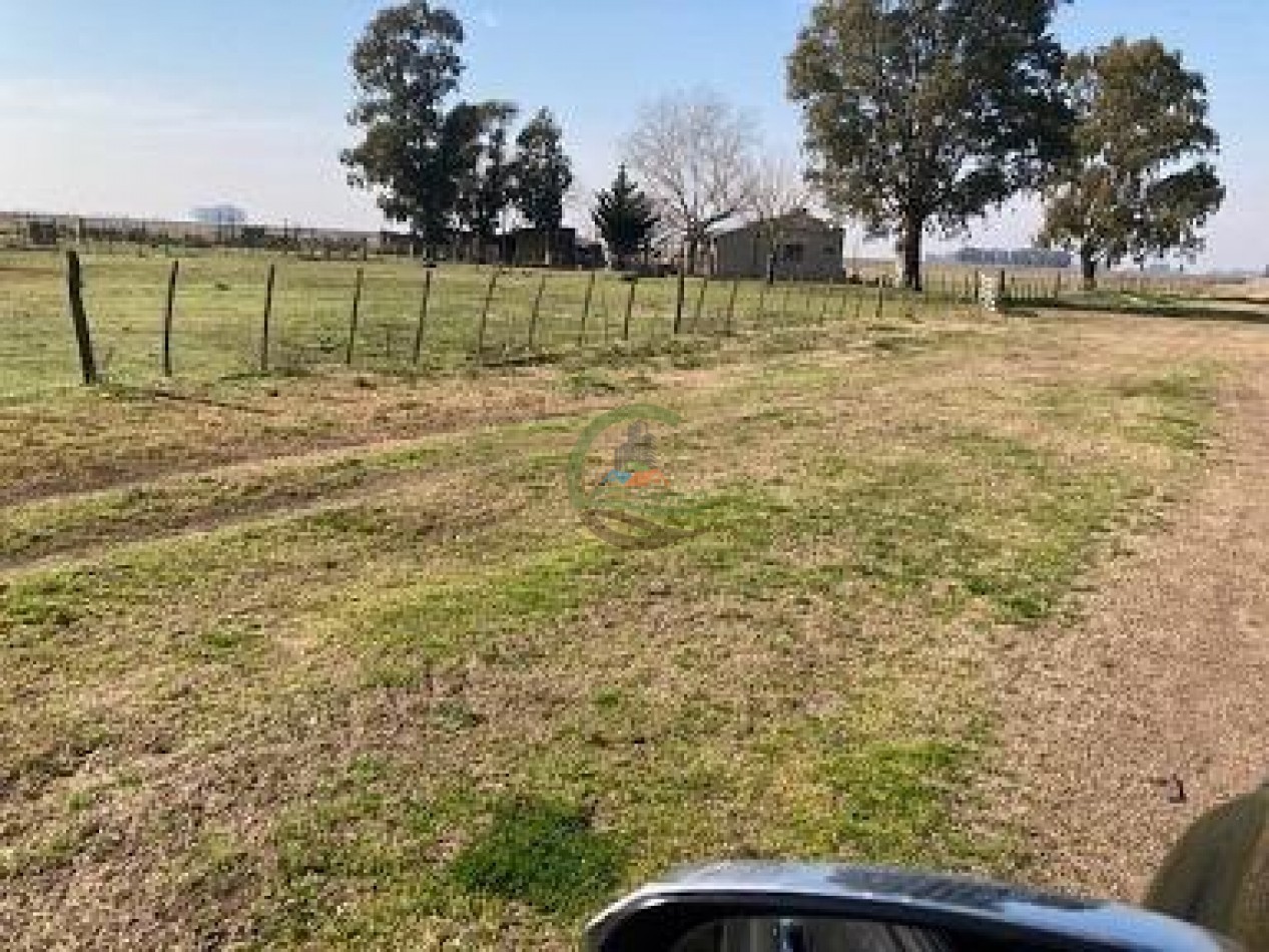 552 ha agricolas - gral alvear