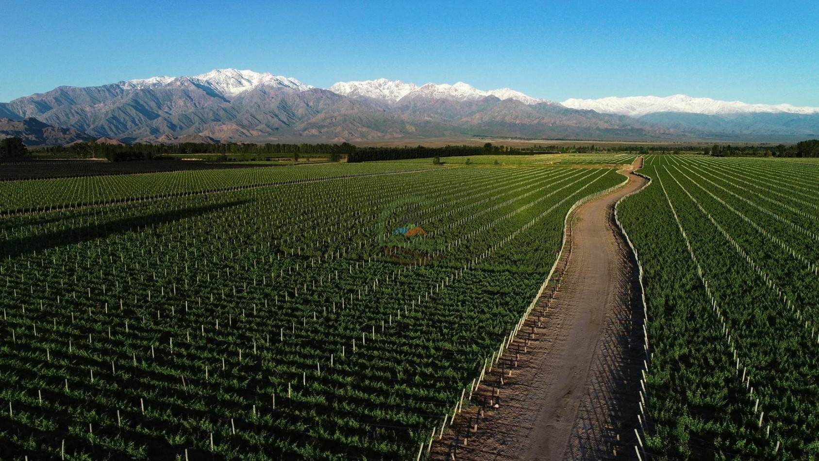 440 ha - Bodega - Mendoza