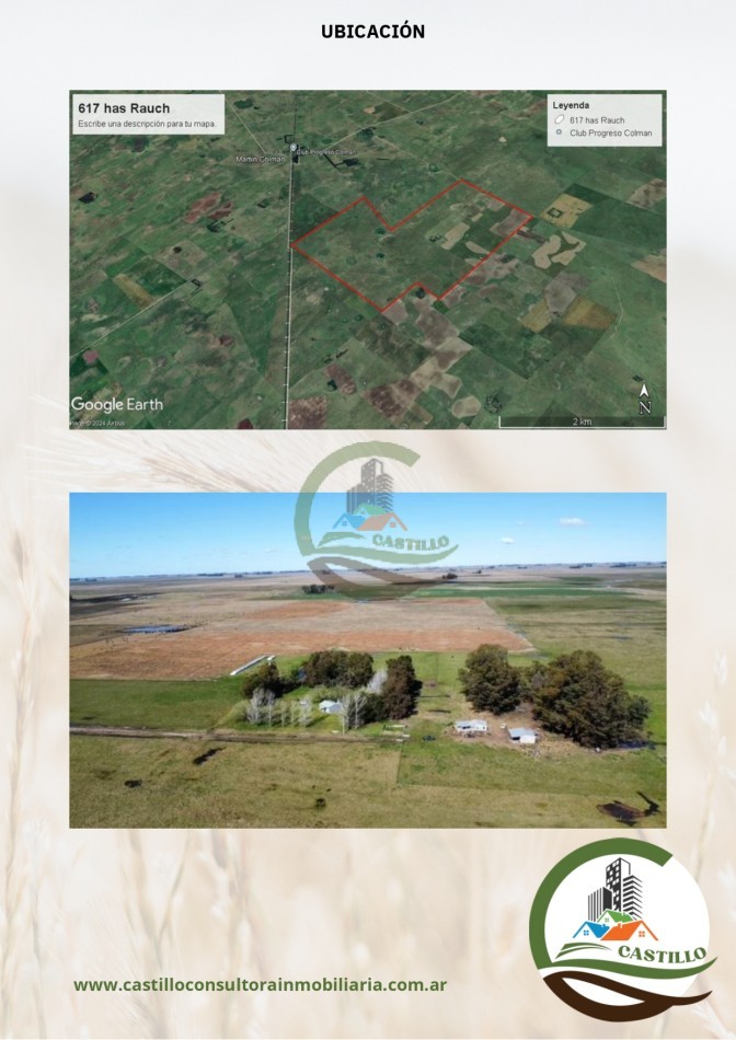 617 ha mixtas - rauch