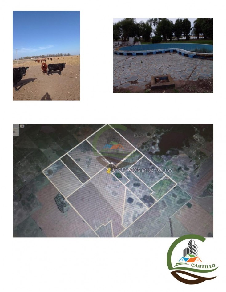 675 ha Mixtas - Carlos Casares