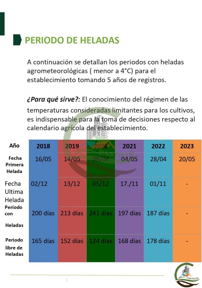 315 ha Mixto - Balcarce
