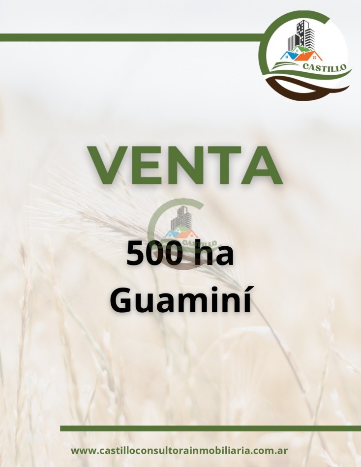 500 ha mixtas - guamini