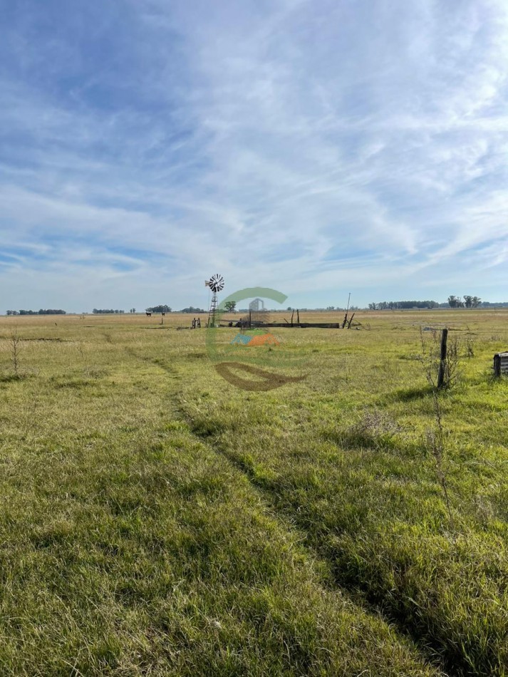 24 HA Ganadero - Alvear