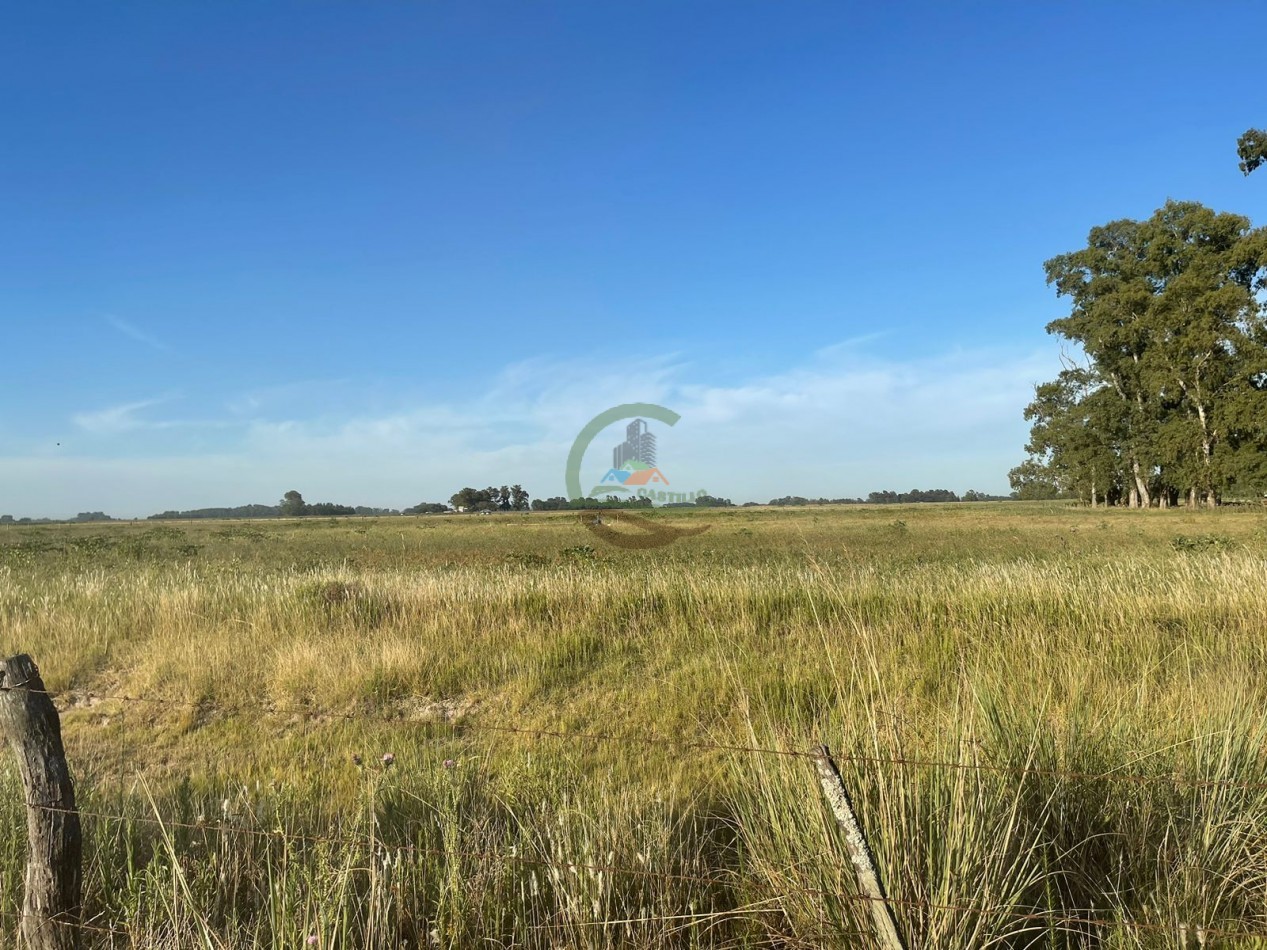18 ha Mixtos - Pedernales