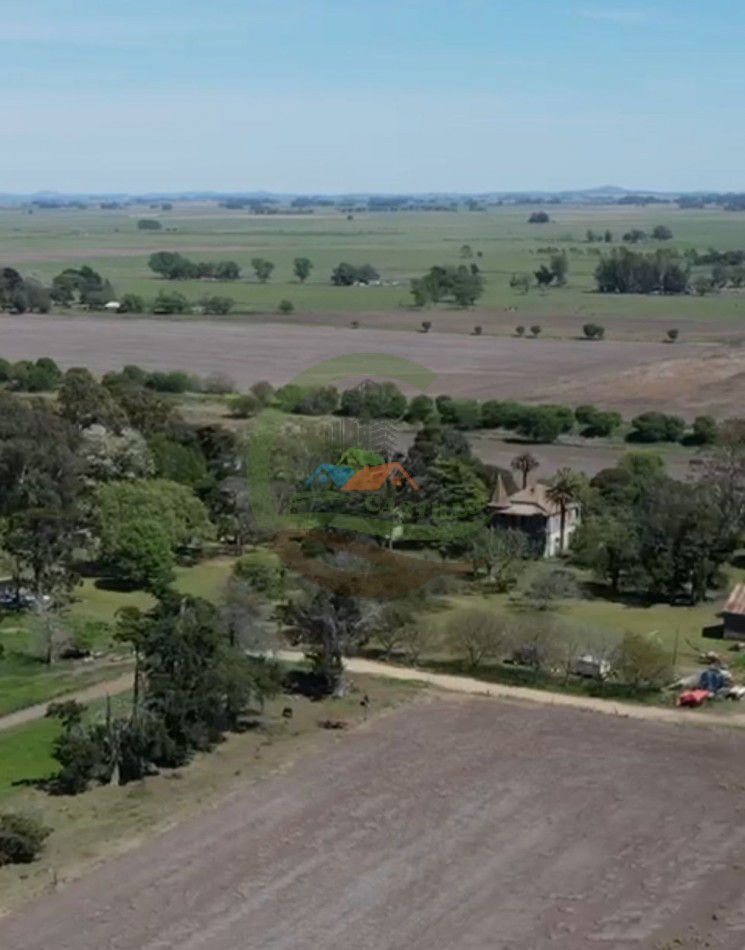 220 ha Agricolas - Balcarce  