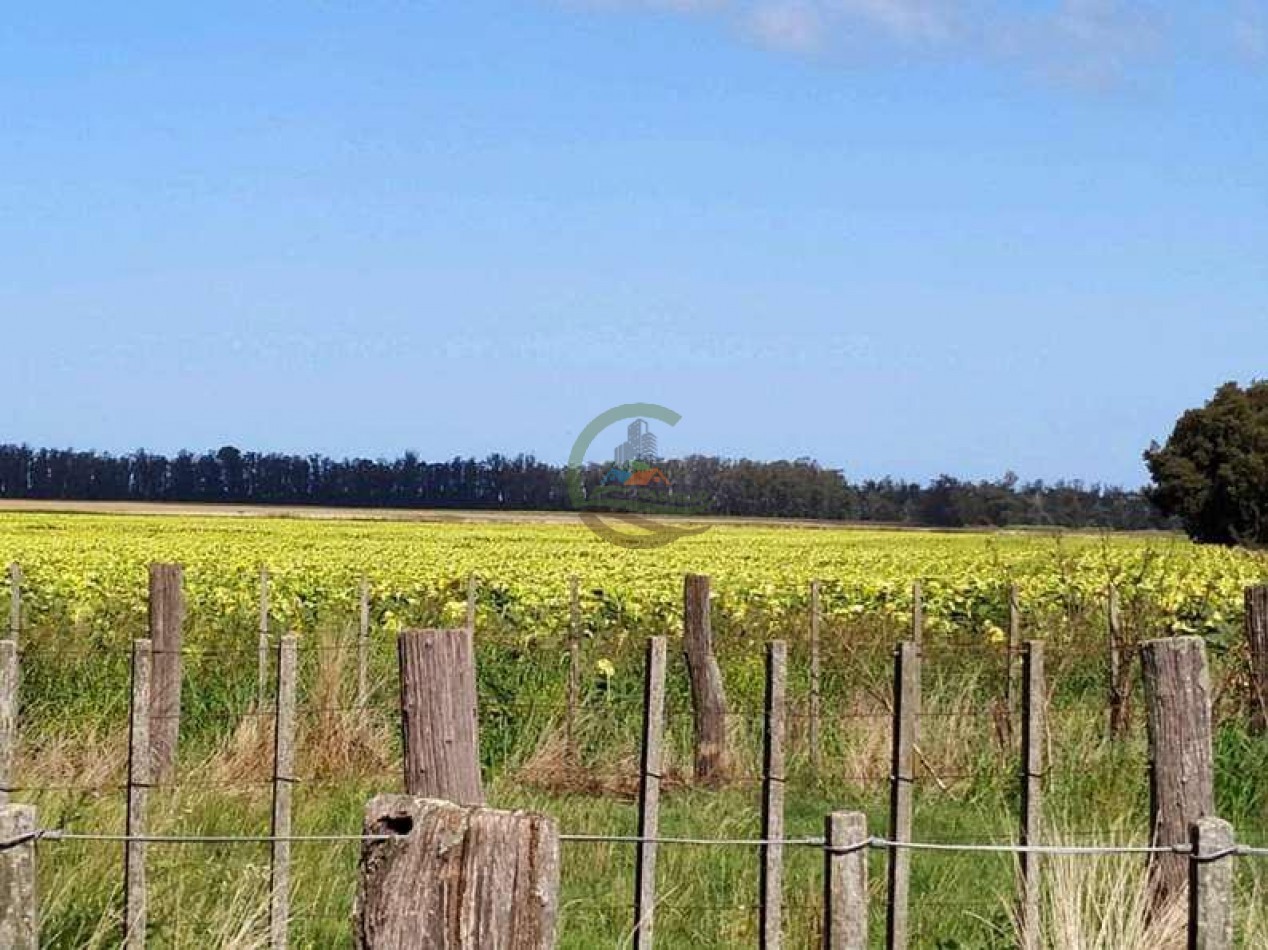 408 Ha Agricola - Miramar