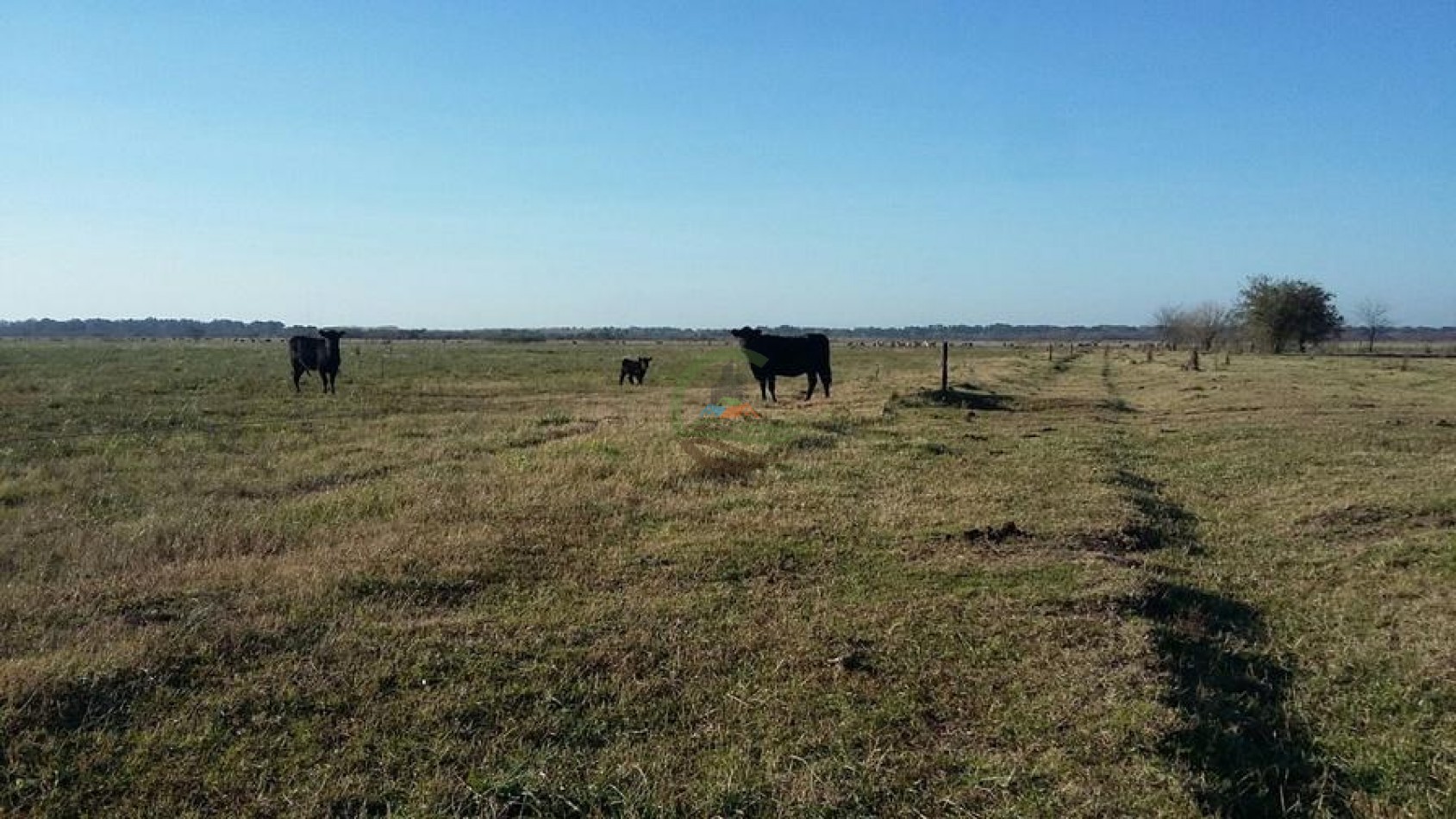 936 Ha Mixto - Carlos Tejedor