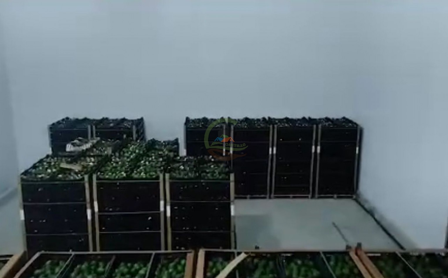 Empresa de logistica y transporte de frios - caba
