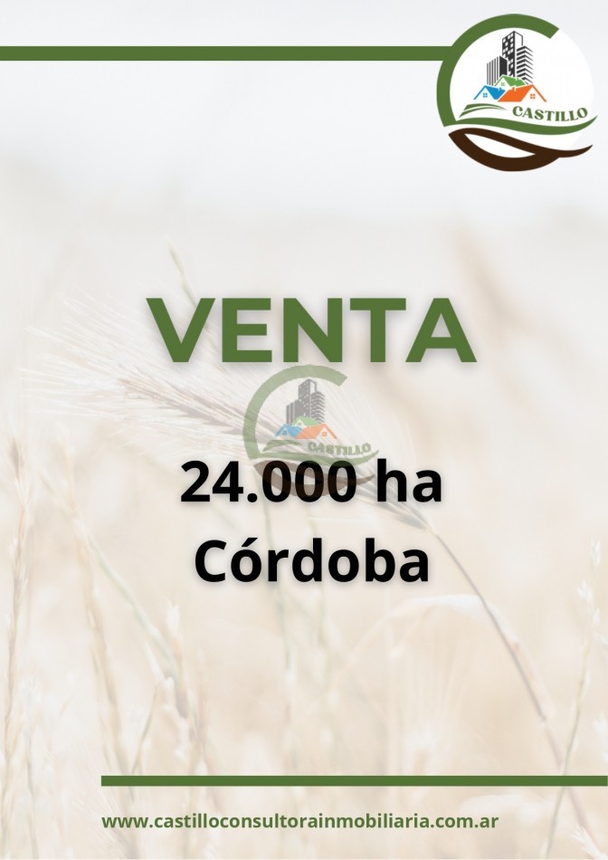 24000 ha mixtas - cordoba 