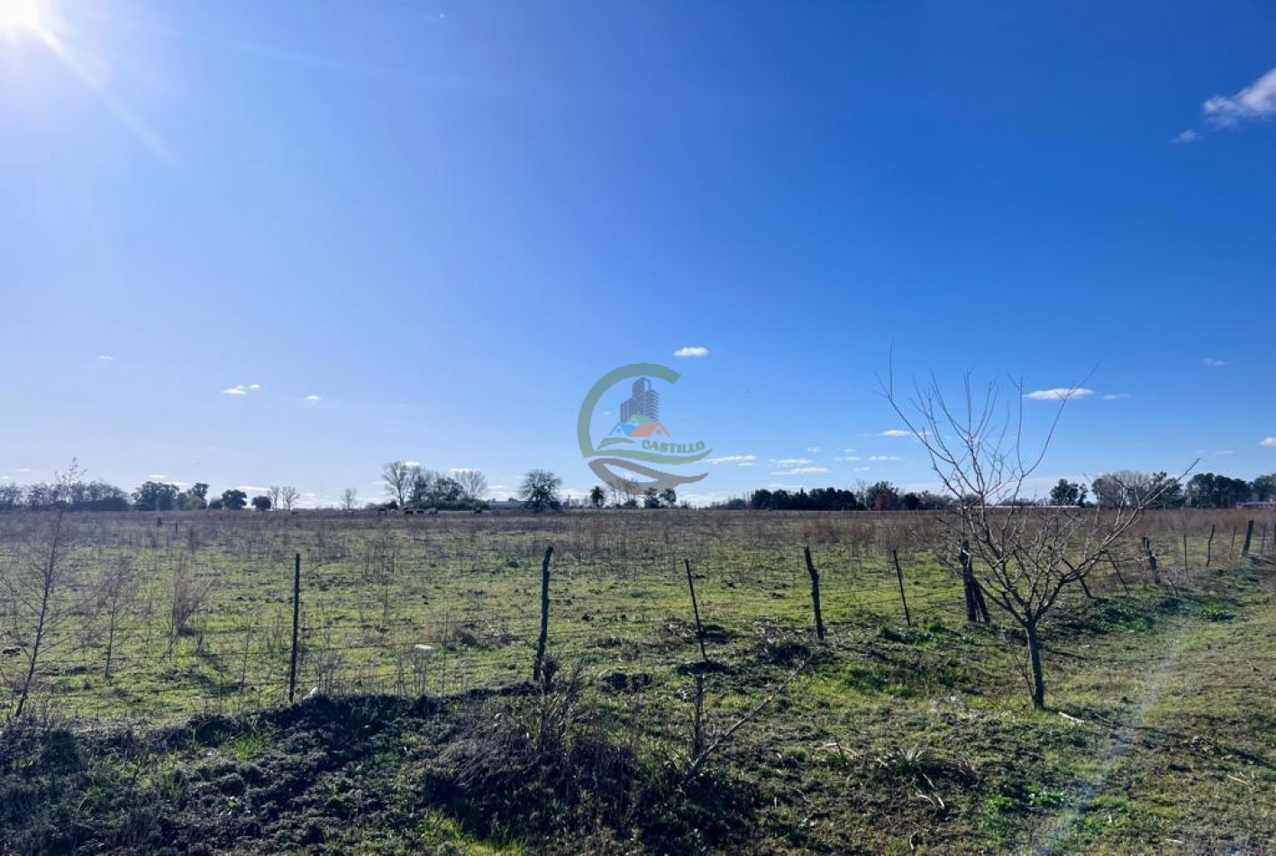 10,5 ha - Saladillo