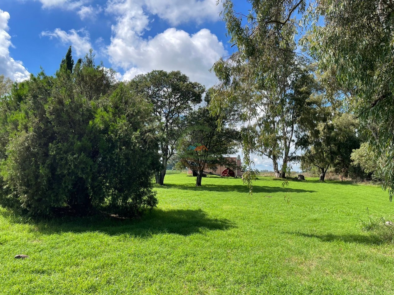 84 ha mixta - Bolivar