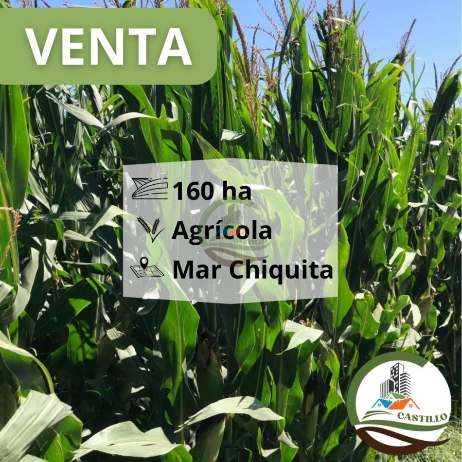 157 ha agricola - mar chiquita