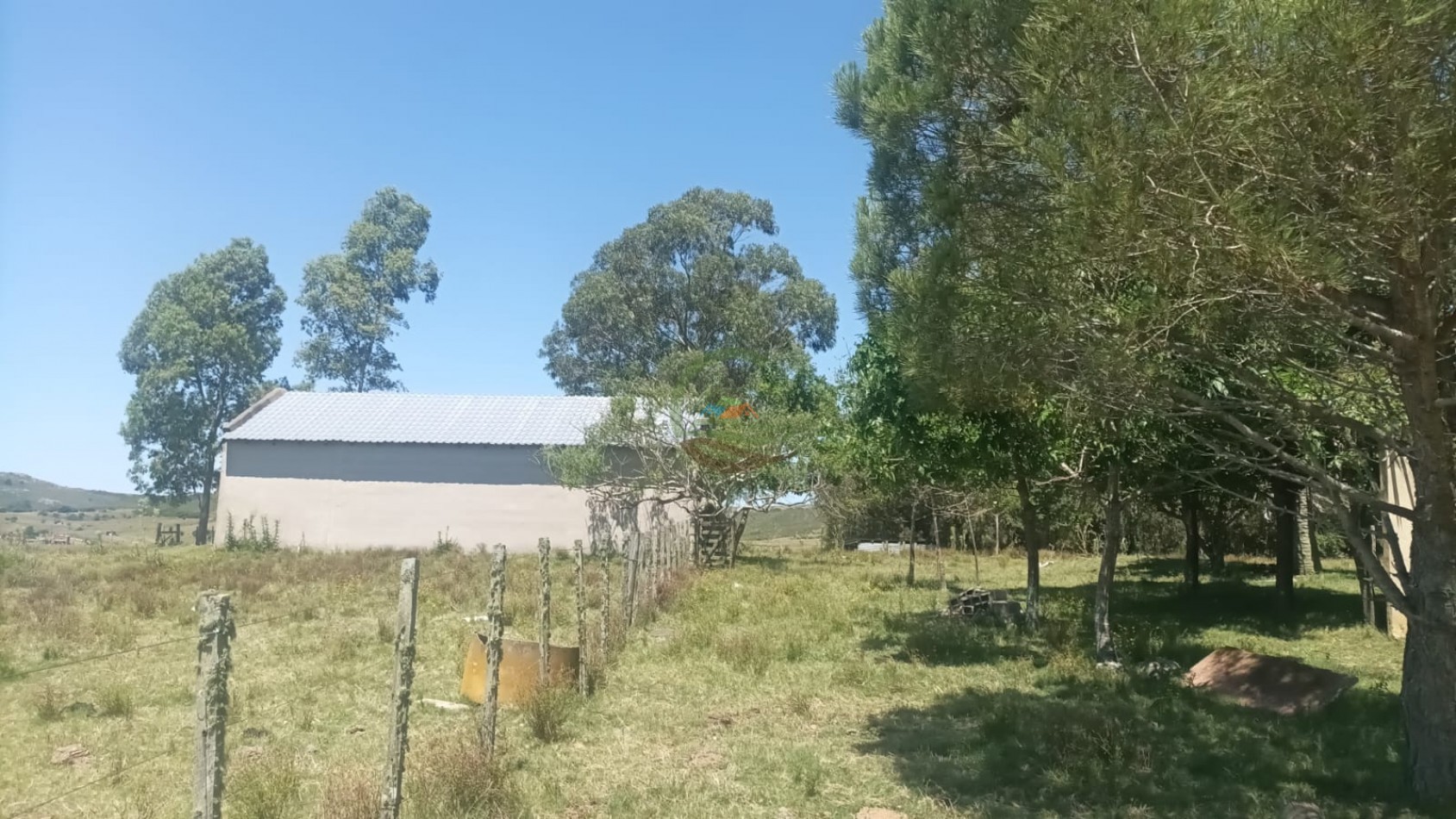 28 Ha Mixtas - Paso de Dutra - Uruguay