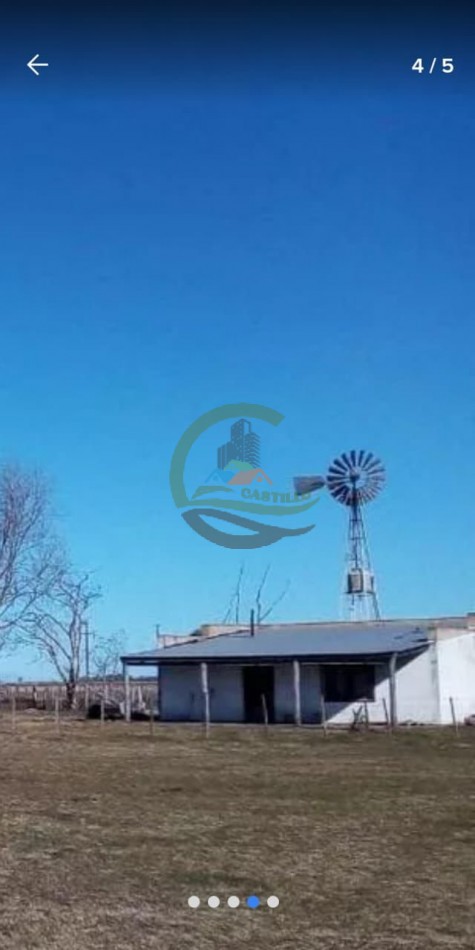 885 ha Ganadero - Alvear