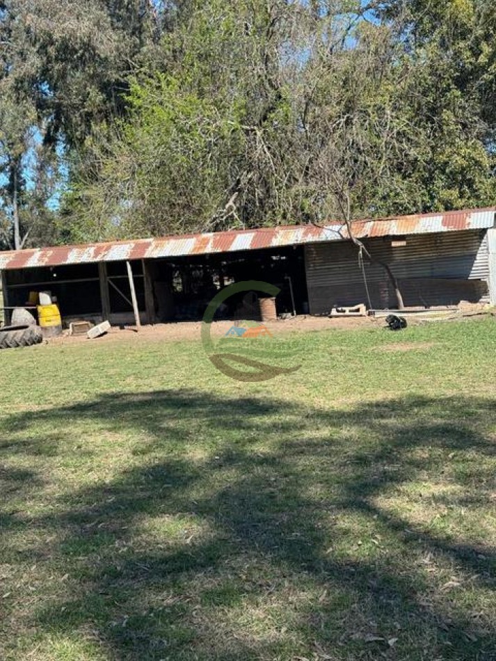 490 Ha Ganadero - Carmen de Areco