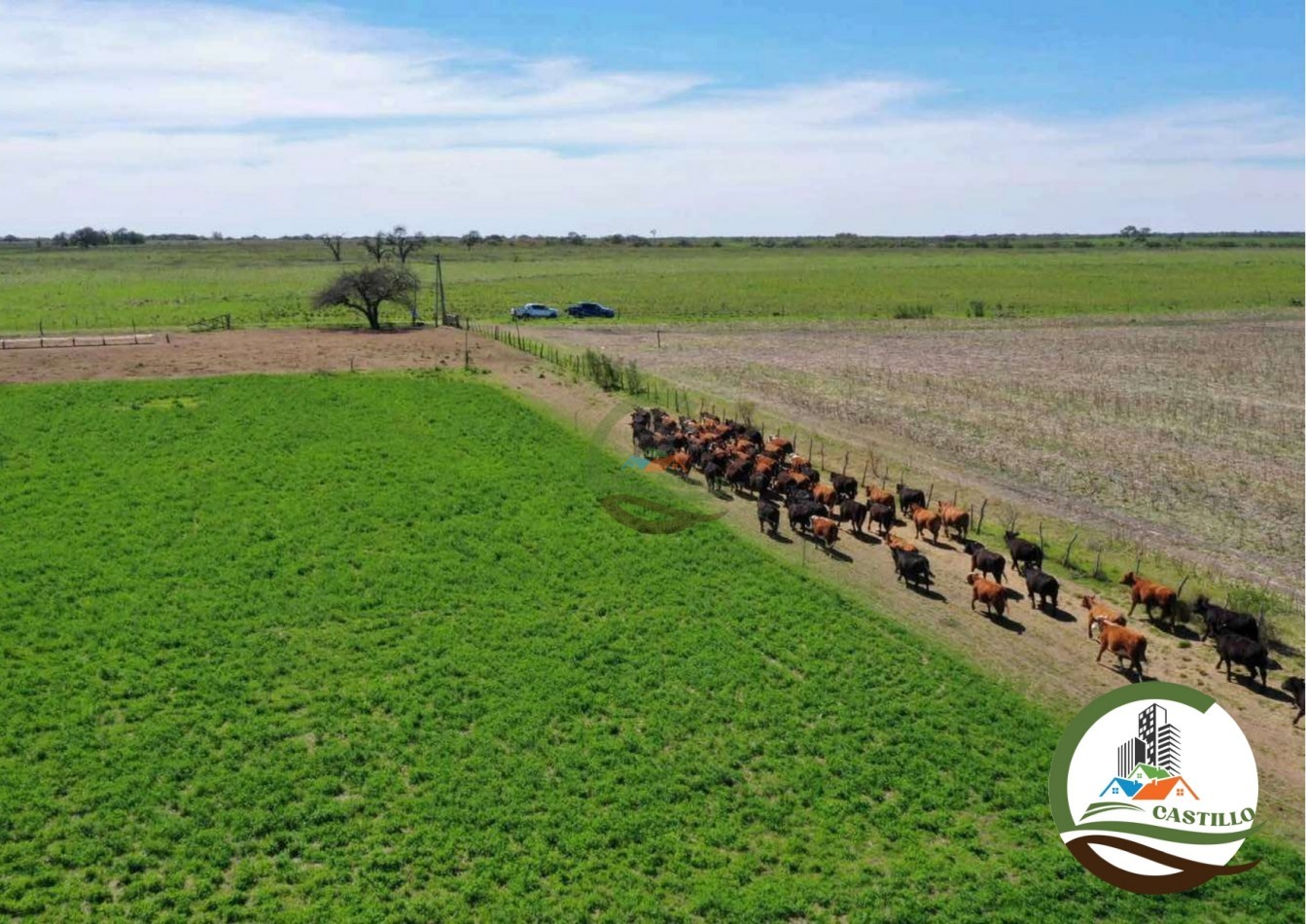 2658 ha Mixto - Entre Rios