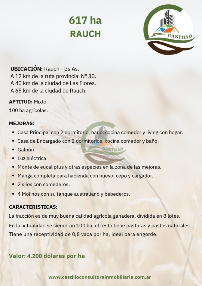 617 ha mixtas - rauch