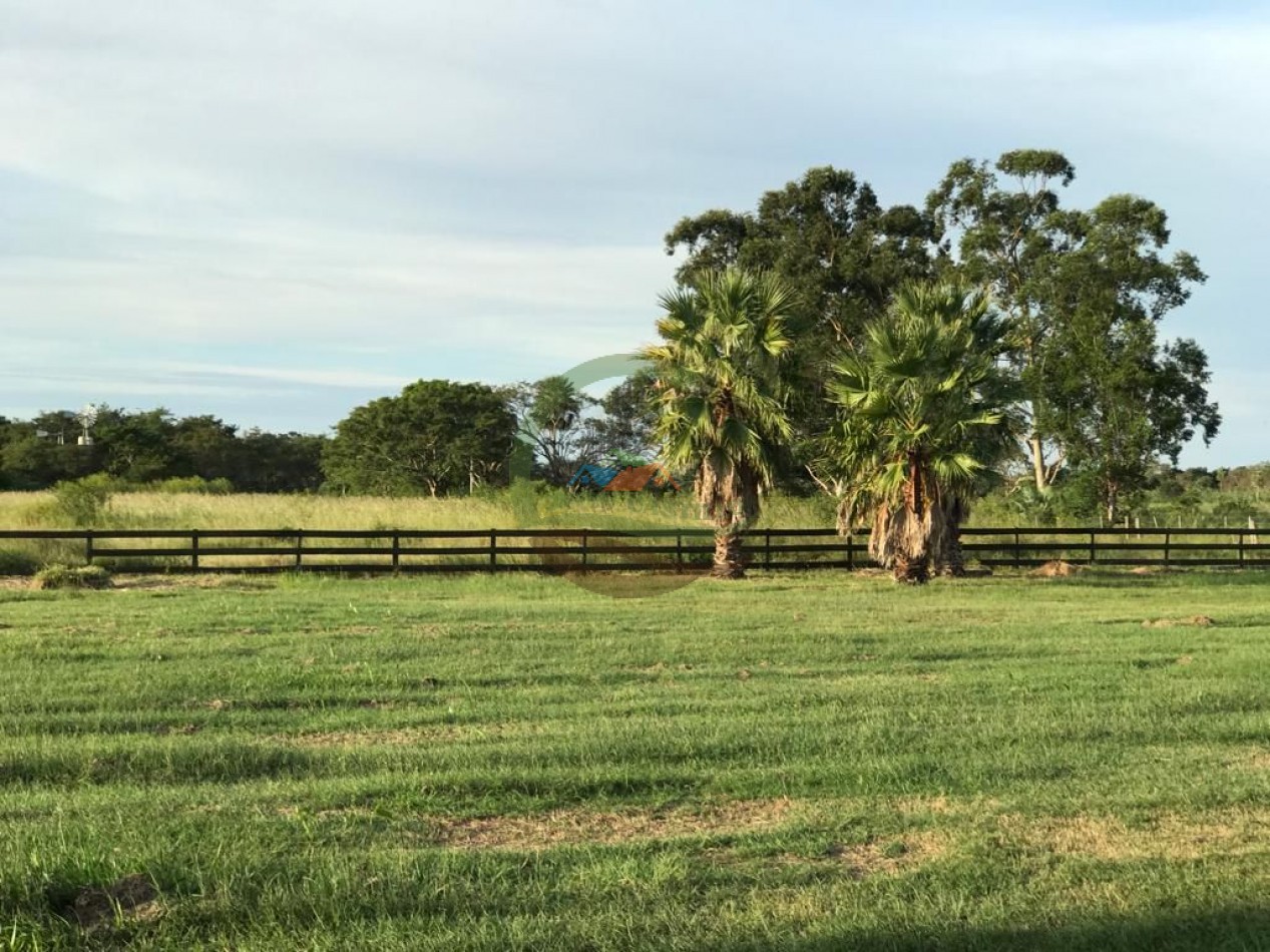 43000 ha MIxtos - Formosa