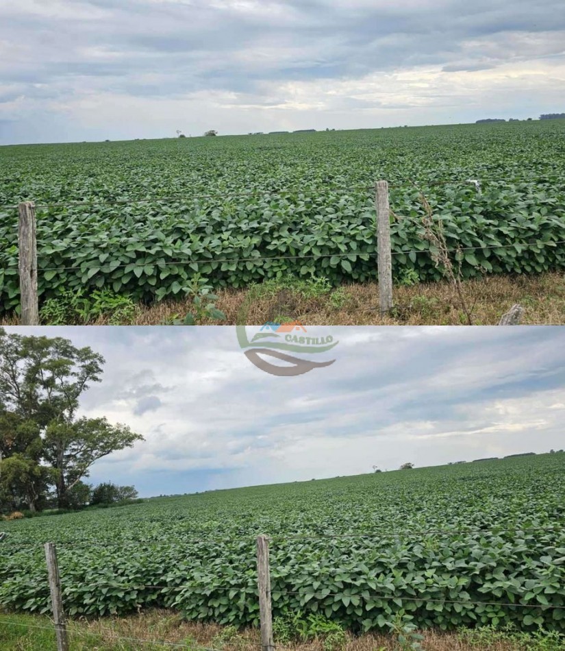 192 Ha Agricolas - General Pinto
