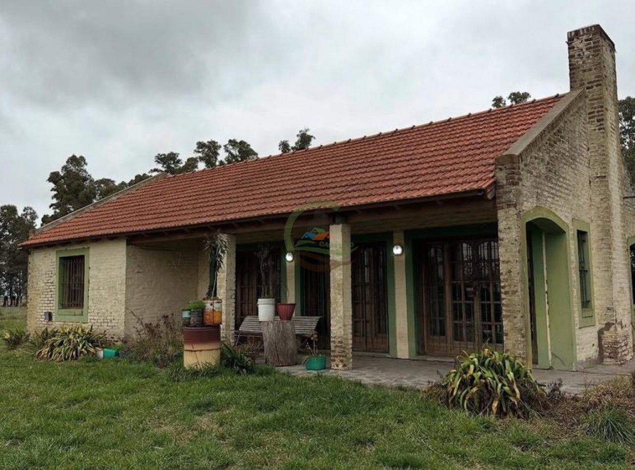 328 Ha Mixto - Colman - Rauch